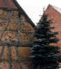 deteriorating building shows detail of "half-timber" storybook construction methods