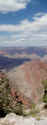 P9080074p.jpg (186788 bytes)
