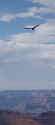 P9080098C.jpg (76583 bytes)
