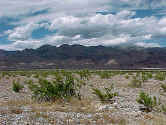 dvgreen.jpg (59208 bytes)