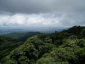 pa050540.jpg (84793 bytes)