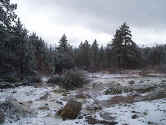 p2180441e.jpg (122427 bytes)